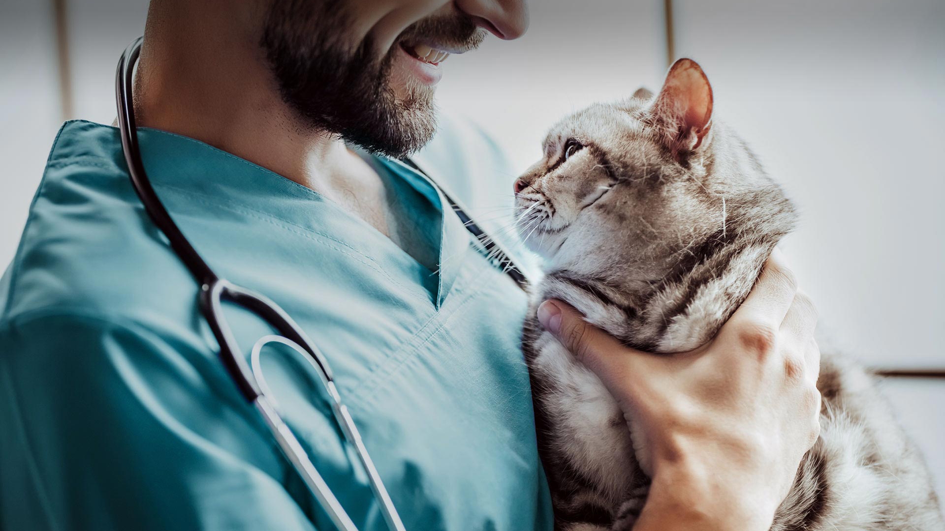 Altınekin Veteriner